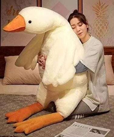 وزة كبيرة كيوت تريند