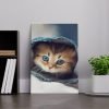 تابلوه قطة كيوت تابلوهات مودرن